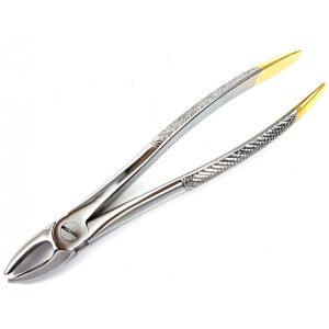 Extracting Forceps Nr. 1