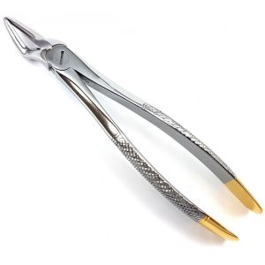 Extracting Forceps Nr. 51