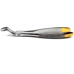 Extracting Forceps Nr. 67