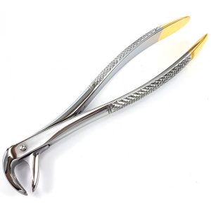 Extracting Forceps Nr. 73