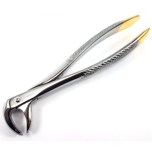 Extracting Forceps Nr. 73R