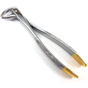 Extracting Forceps Nr. 75