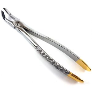 Extracting Forceps Nr. 79A