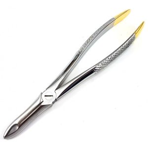 Extracting Forceps #41