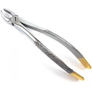 Extracting Forceps Nr. 17