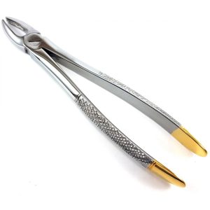 Extracting Forceps Nr. 2