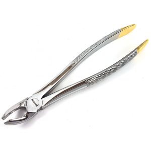 Extracting Forceps Nr. 20
