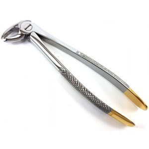 Extracting Forceps Nr. 22