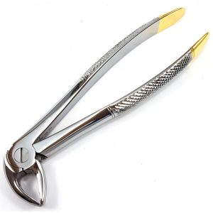 Extracting Forceps Nr. 33