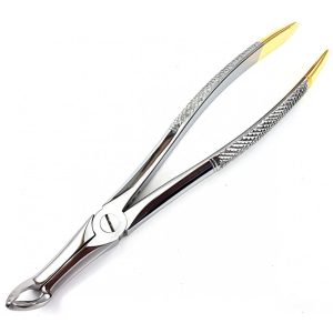 Extracting Forceps Nr. 49