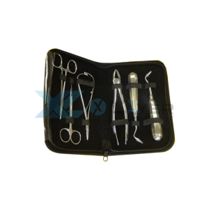 Dental Kit
