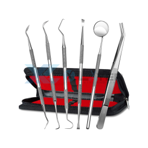 Dental Kit