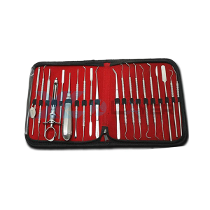 Dental Kit