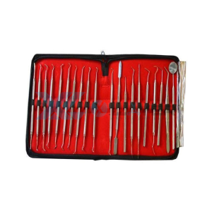 Dental Kit